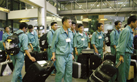 Vietnam wird 105.000 Arbeiter ins Ausland schicken