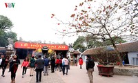 Fest des Tran-Thuong-Tempels und das Tran-Tempel-Fest