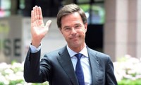 Niederländische Parteien diskutieren über Gründung einer Koalition