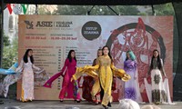 Werbung für das Image Vietnams beim Asiatischen Kulturfest in Tschechien