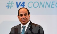 Ägypten bekräftigt erneut seine Unterstützung für Staat Palästina