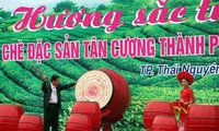Teefest Tan Cuong
