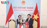 Förderung der strategischen Partnerschaft zwischen Vietnam und Indonesien