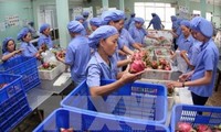 Gewährleistung der Stellung vietnamesischer Landwirtschaftsprodukte auf Südkorea-Markt