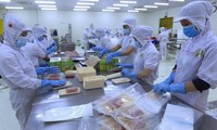 Moody’s: Potenzial zum starken Wachstum für Vietnam