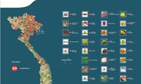  Geografische Herkunftsbezeichnungen für vietnamesische Landwirtschaftsprodukte