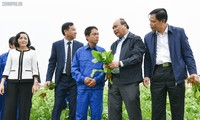 Premierminister Nguyen Xuan Phuc ermutigt Produktions- und Geschäftsaktivitäten in Hanoi und Ninh Binh