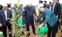 Parlamentspräsidentin Nguyen Thi Kim Ngan nimmt am Pflanzenfest in Hoa Binh teil