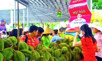 Obstfestival des Südens in Ho-Chi-Minh-Stadt