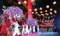 Einzigartigkeit des Vietnam-Japan-Kulturfestes