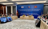Online-Sitzung der Expertengruppe für Friedenssicherungseinsatz unter Vorsitz Vietnams und Japans