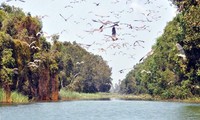 Start des Fotowettbewerbs “Erhalten und nachhaltige Nutzung von Mangrovengebieten Vietnams”