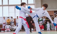 Karate-Turnier der in Japan lebenden Vietnamesen