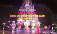 Eröffnung der Kulturfesttage der ethnischen Minderheiten der Provinz Gia Lai