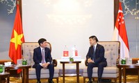 Verstärkung der Beziehungen zwischen Parlamentariern Vietnams und Singapurs
