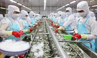 Vietnams Exportwert von Meeresfrüchten steigt um mehr als 44,5 Prozent im Vergleich zum Vorjahreszeitraum