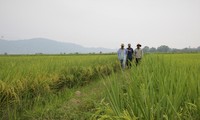 Dak Lak fördert Verbindungskette zur Erhöhung der Werte landwirtschaftlicher Produkte