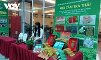 Die Tee-Branche der Provinz Thai Nguyen strebt einen Umsatz von einer Milliarde US-Dollar an