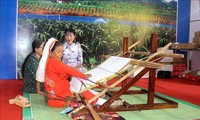 Eröffnung der Ausstellung über Kulturerbestätten in Binh Thuan