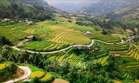 Tourismusprogramm zum Erleben der Reisterrassen in Hoang Su Phi 2023