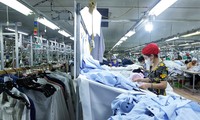 CIEM prognostiziert Wirtschaftswachstum von 6,95 Prozent für Vietnam in diesem Jahr