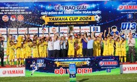 Song Lam Nghe Ans U13-Fußballmannschaft verteidigt den nationalen Meistertitel