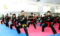 越南传统武术表演在瑞士举行 