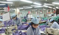 越南政府集中解决经济困难