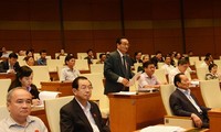 越南国会讨论各项任期工作报告