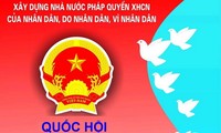 越南全国各地编制14届国会代表和2016至2021年任期各级人民议会代表选举候选人的正式名单