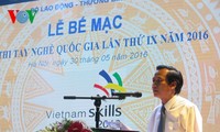 在融入国际进程中提高越南劳动者的职业水平和技能