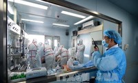 中国努力防控H7N9禽流感疫情
