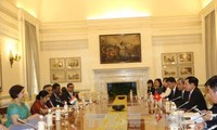越南政府副总理兼外长范平明会见印度企业代表