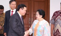 越南与印度尼西亚推动战略伙伴合作