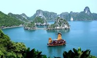 将越南旅游业发展成为拳头经济产业