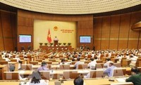 国会代表对越南第十四届国会第五次会议予以厚望