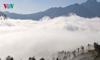 Highland Sapa in the clouds