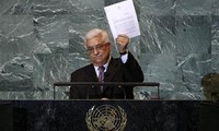 UN-Sicherheitsrat: Palästina hat Recht auf Naturressourcen 