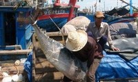 Vietnam investiert mehr in Thunfischfang und -verarbeitung