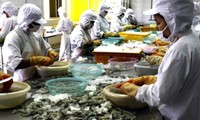 Die USA erkennen an, dass vietnamesische Garnelen nicht zu Dumpingpreisen verkauft werden 