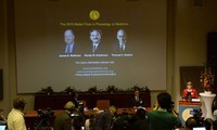 Medizin-Nobelpreis geht an deutsche und US-Forscher