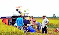 Mekong-Delta will 2014 die Anzahl armer Haushalte stark reduzieren