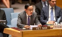 Reaktion der Weltgemeinschaft und Vietnams auf MH17-Absturz