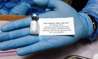 Medikamente gegen Ebola werden im Dezember in Westafrika getestet