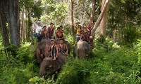 Entdeckung des Nationalparks Yokdon in Dak Lak
