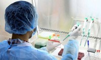 Vietnam und Großbritannien kooperieren in Forschung von Infektionskrankheiten