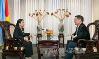 Vietnam hebt allgemeine Regeln des Völkerrechtes und der UN-Charta hervor