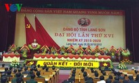 Parteikonferenz der Provinzen Bac Lieu, Soc Trang und Lang Son