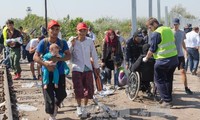 Außenministertreffen Mittelosteuropas und Westbalkans über Flüchtlingskrise