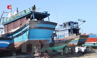 Vietnam und Thailand verstärken Zusammenarbeit gegen illegalen Fischfang